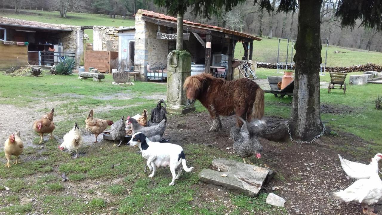 Gezier-et-Fontenelay Domaine De Fontenelay الغرفة الصورة